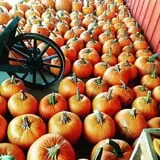 Heritage Farms Market photo
