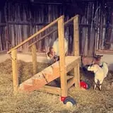 Heritage Farms Market photo