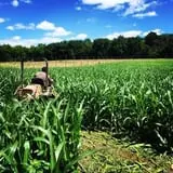 Heritage Farms Market photo