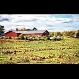 Heritage Farms Market photo