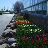 The Garden Factory photo
