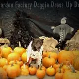 The Garden Factory photo