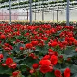The Garden Factory photo