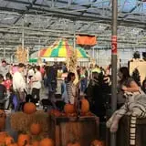 The Garden Factory photo