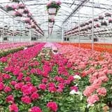 The Garden Factory photo