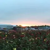 The Garden Factory photo