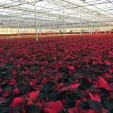 The Garden Factory photo