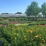 The Garden Factory photo