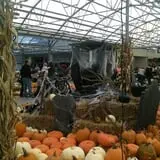 The Garden Factory photo