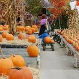 Borellas Farm Stand photo