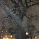Ghost Tours of Newport photo