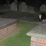 Ghost Tours of Newport photo