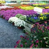 Prianti Farms photo