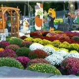 Prianti Farms photo