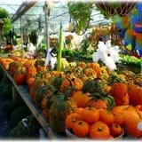 Prianti Farms photo