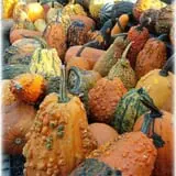 Prianti Farms photo