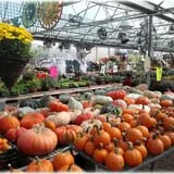 Prianti Farms photo