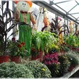 Prianti Farms photo