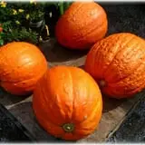 Prianti Farms photo
