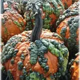 Prianti Farms photo