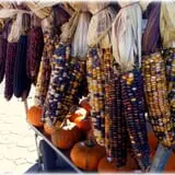 Prianti Farms photo