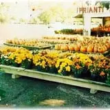 Prianti Farms photo