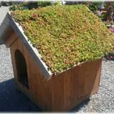 Prianti Farms photo