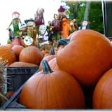 Prianti Farms photo