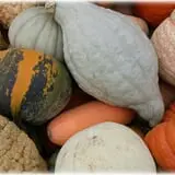 Prianti Farms photo