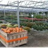Prianti Farms photo