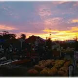 Prianti Farms photo