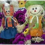 Prianti Farms photo