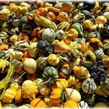 Prianti Farms photo
