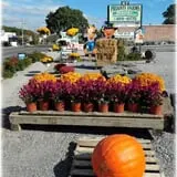 Prianti Farms photo