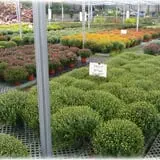 Prianti Farms photo