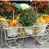 Prianti Farms photo