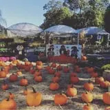 Prianti Farms photo