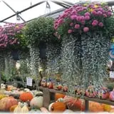Prianti Farms photo