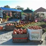Prianti Farms photo