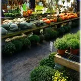 Prianti Farms photo