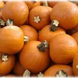 Prianti Farms photo