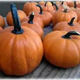 Prianti Farms photo