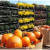 Prianti Farms photo