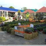 Prianti Farms photo