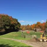 The Friendly Farm photo