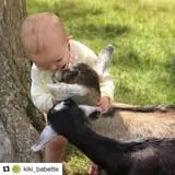 The Friendly Farm photo