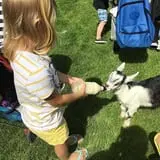 The Friendly Farm photo