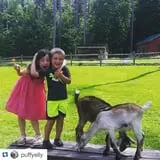 The Friendly Farm photo