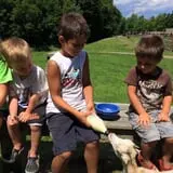 The Friendly Farm photo
