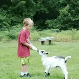 The Friendly Farm photo